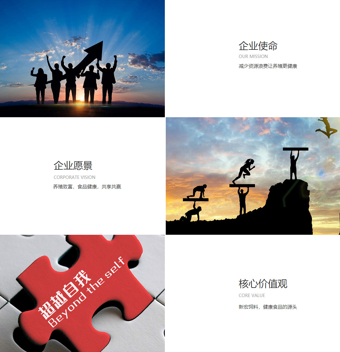 宝威在线(图1)